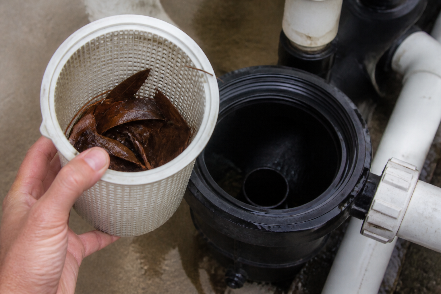 Pool pump strainer basket opened for inspection